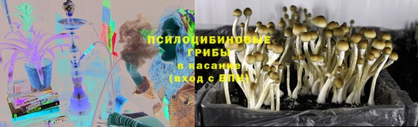 гидра Абдулино