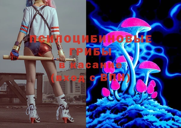 амф Абаза