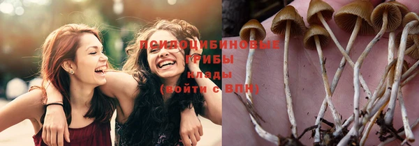 амф Абаза