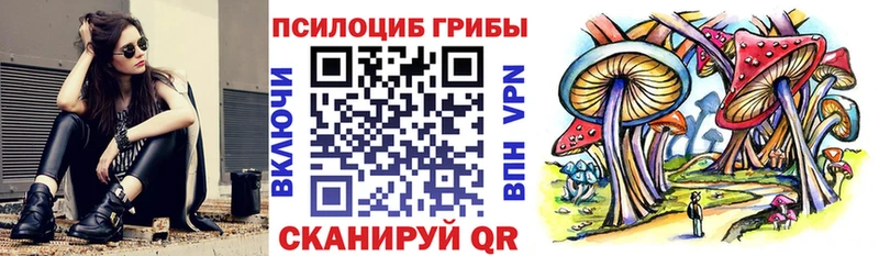 Галлюциногенные грибы мицелий  дарк нет какой сайт  Ржев  продажа наркотиков 