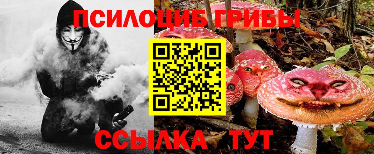 Ржев  Галлюциногенные грибы GOLDEN TEACHER  Вход с VPN 