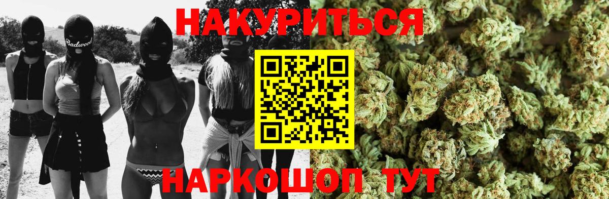 Бошки Шишки план Ржев
